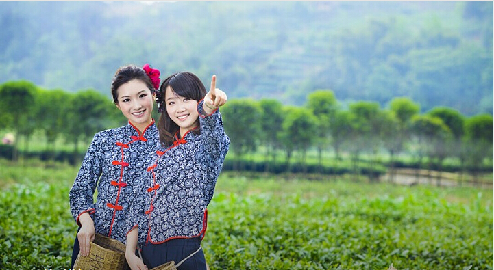 日本老人采樹(shù)葉賺53萬(wàn) 是天價(jià)葉子還是天價(jià)商機(jī)？|餐飲界