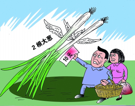 高價(jià)蔥提升成本，菜品價(jià)到底漲不漲愁壞老板