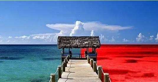 火鍋紅海里還能怎么深扒藍(lán)海區(qū)域？|餐飲界