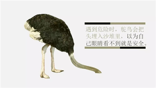 這6個詞，你誤解了任何一個，都能讓你錯過“風(fēng)口”