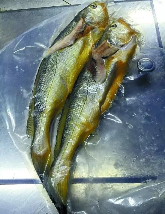 兩條小黃魚(yú)賣(mài)4628元：沒(méi)有菜牌，也沒(méi)有價(jià)格公示