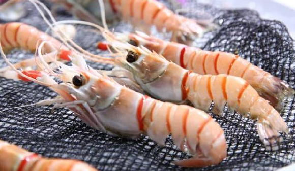 進口食品需求每年遞增15%，餐飲人卻還是找不到渠道？