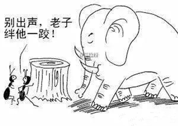 火鍋老板必看：與巴奴共舞的3個(gè)戰(zhàn)略機(jī)會(huì)！