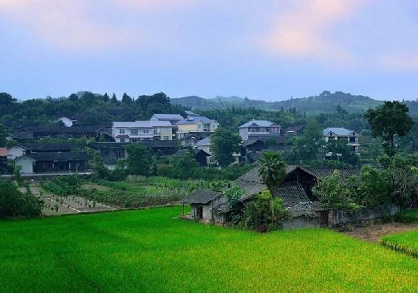 城市水太深，回鄉(xiāng)開餐廳？看完這篇你再做決定……