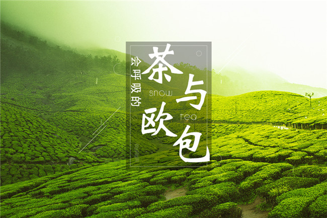 9個月開600家店，漫雪的茶憑啥攻占全國市場？|餐飲界