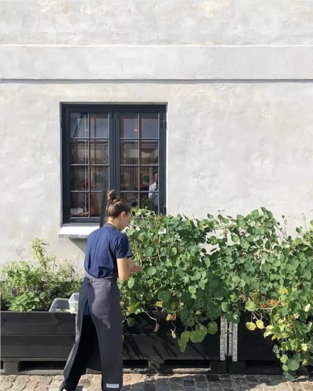 全球最佳餐廳Noma開放明年預訂，內容是上半年的海鮮季