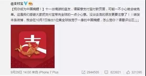 “錦鯉”火了，為什么我不建議跟風(fēng)蹭這個大熱點？
