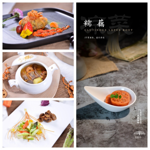 素食革命：如何通過純素飲食打造健康身體？美素軒為你揭秘|餐飲界